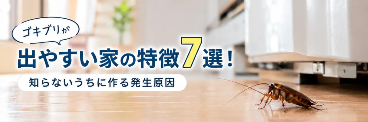 ゴキブリが出やすい家の特徴7選!知らないうちに作る発生原因